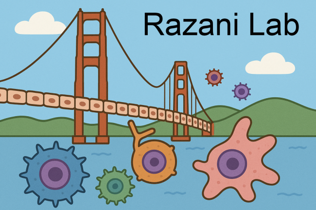 Razani Lab